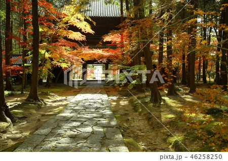 曹源寺の紅葉 46258250