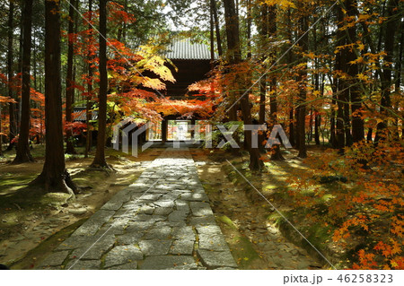 曹源寺 曹源寺 46258323