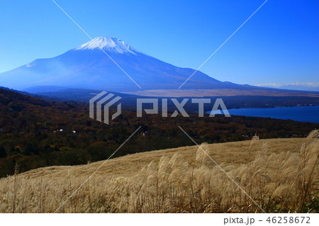 ススキと富士山 ススキと富士山 46258672