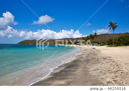 セントキッツ島 美しいビーチ セントキッツ島 美しいビーチ 46259316