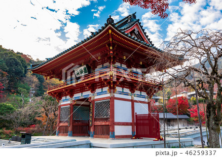 山門 勝尾寺の紅葉 山門 勝尾寺の紅葉 46259337