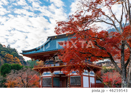 山門　勝尾寺の紅葉 46259543