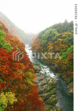 紅葉の高津戸峡 はねたき橋 鱍瀧橋からの風景 紅葉の高津戸峡 はねたき橋 鱍瀧橋からの風景 46260003