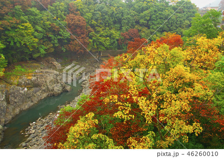 紅葉の高津戸峡　はねたき橋　鱍瀧橋からの風景 46260010