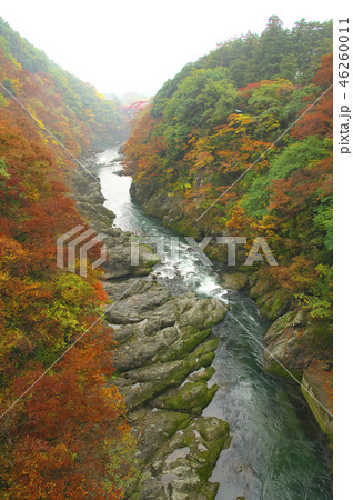 紅葉の高津戸峡　はねたき橋　鱍瀧橋からの風景 46260011