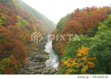 紅葉の高津戸峡　はねたき橋　鱍瀧橋からの風景 46260016