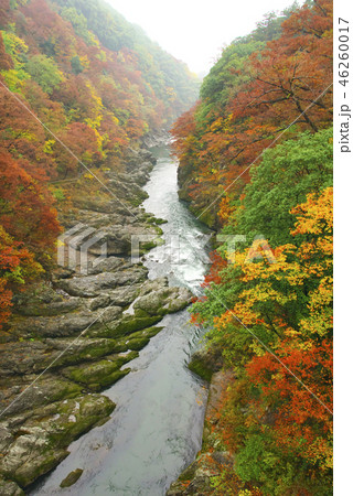 紅葉の高津戸峡　はねたき橋　鱍瀧橋からの風景 46260017