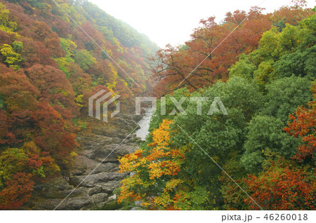 紅葉の高津戸峡 はねたき橋 鱍瀧橋からの風景 紅葉の高津戸峡 はねたき橋 鱍瀧橋からの風景 46260018