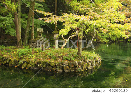秋の弁天池湧水 46260189