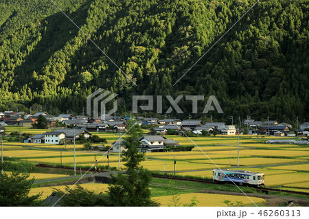 秋の夕日の稲田を走るローカル線 46260313