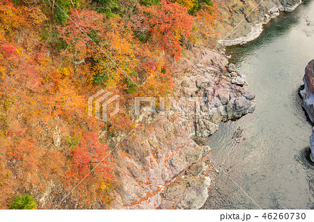 笹子川の秋風景 笹子川の秋風景 46260730