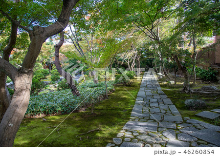 秋の諸戸氏庭園　秋の一般公開　敷石（三重県桑名市） 46260854