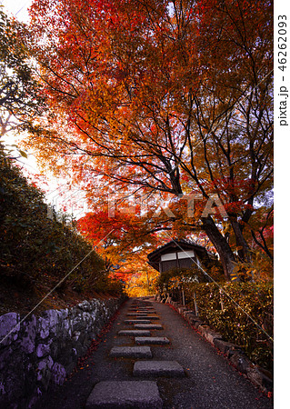 善峯寺の紅葉 善峯寺の紅葉 46262093