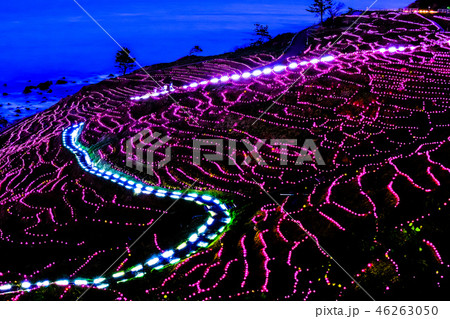 白米千枚田イルミネーション 白米千枚田イルミネーション 46263050