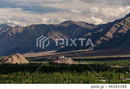 Mountains and forest landscape in Leh,Ladakh India 46263388