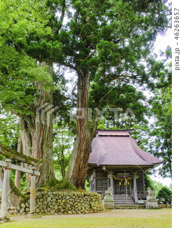 松尾神社（縦）2017-1 46263657