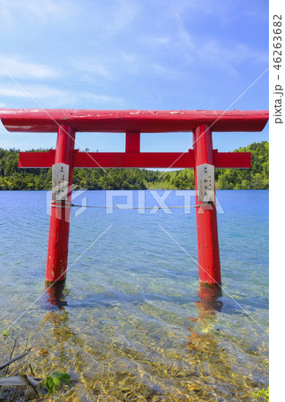 大沼池の守り神(縦) 大沼池の守り神(縦) 46263682