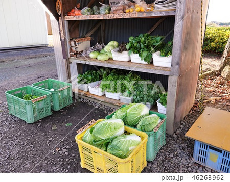 農家が営む「無人の野菜販売」の光景 農家が営む「無人の野菜販売」の光景 46263962