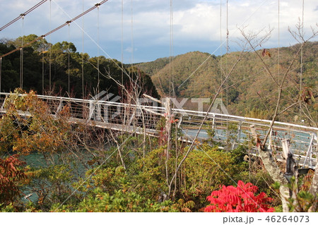 亀池公園 46264073