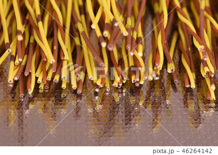 Colorful electrical wires and cables closeup 46264142