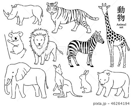 Animal Black And White Set Stock Illustration