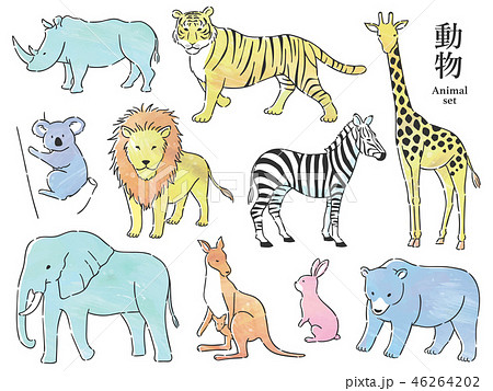 Animal Set Stock Illustration