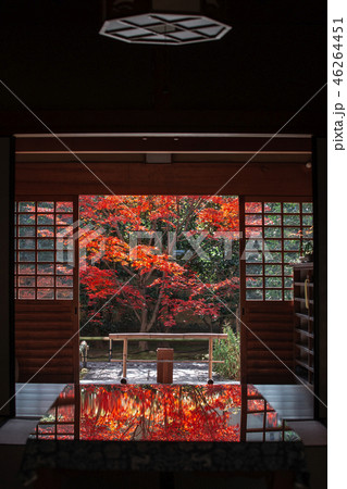 興臨院の紅葉 46264451