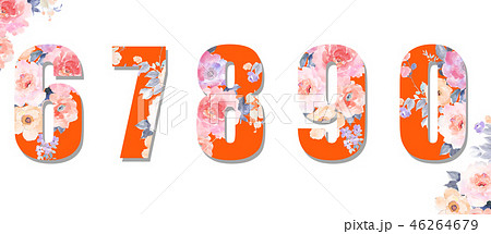 花 フラワー お花 46264679