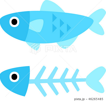 魚と魚の骨のイラスト素材