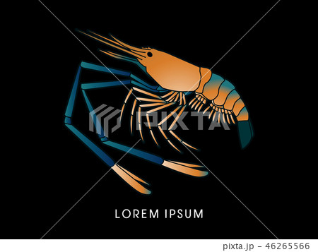 Giant freshwater prawn, shrimp graphic vector. Giant freshwater prawn, shrimp graphic vector. 46265566