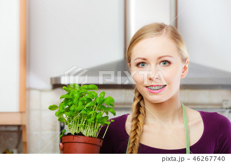 Woman in kitchen with green fresh basil in pot Woman in kitchen with green fresh basil in pot 46267740
