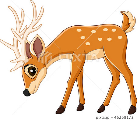 Cute deer cartoon - Stock Illustration [46268173] - PIXTA
