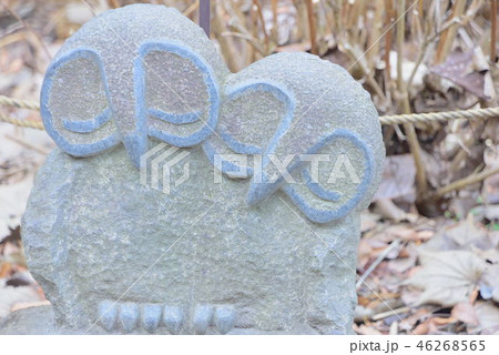 鷲子山神社 46268565