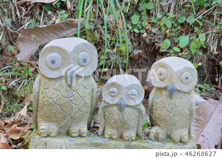 鷲子山神社 鷲子山神社 46268627