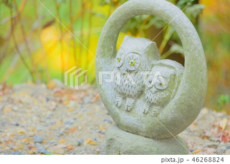 鷲子山神社 46268824