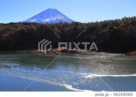 精進湖の凍り始めの湖面と西岸から見える冬の富士山 精進湖の凍り始めの湖面と西岸から見える冬の富士山 46269069