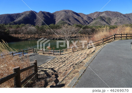 富士五湖の精進湖の南東側から西側のパノラマ台、烏帽子岳方面眺望 富士五湖の精進湖の南東側から西側のパノラマ台、烏帽子岳方面眺望 46269070