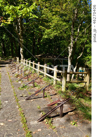 北海道七飯町大沼公園湖畔の駐輪場の風景を撮影 46270406