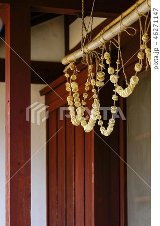 寒干し大根 寒干し大根 46271147