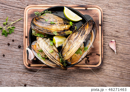 Delicious seafood mussels Delicious seafood mussels 46271463