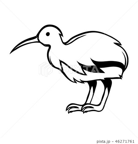 Black and white bird kiwi. 46271761