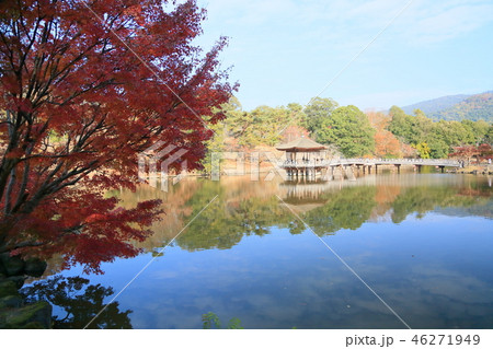 浮見堂と紅葉 46271949