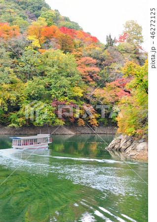 神龍湖 神龍湖 46272125