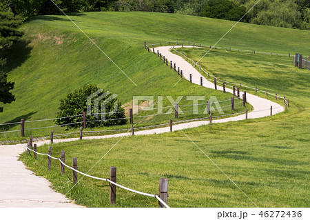 風景 芝生 一本道 46272436