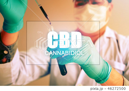 Cannabis oil, CBD concept, Chemist conducts 46272500