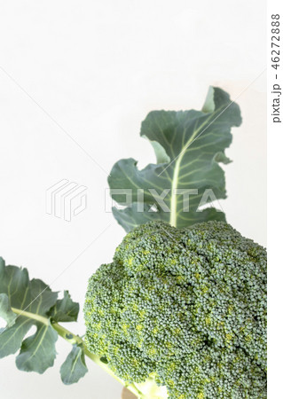 葉っぱつきのブロッコリー 46272888