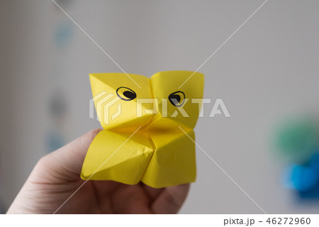 イメージシーン 46272960