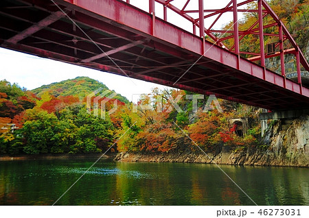 神龍湖 紅葉橋 神龍湖 紅葉橋 46273031