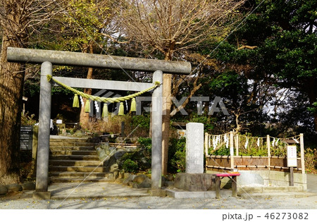 鎌倉 葛原岡神社 鎌倉 葛原岡神社 46273082