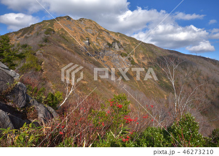 松の木沢の頭から見た晩秋の白毛門山 松の木沢の頭から見た晩秋の白毛門山 46273210